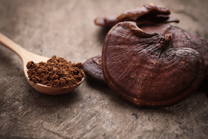 What’s a Reishi Mushroom, and Why is it So Good for My Immune System? - Magical Brands