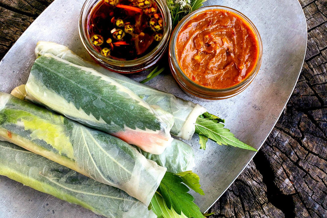 Vietnamese Fresh Rolls with Spicy Tang Sauce - Magical Brands