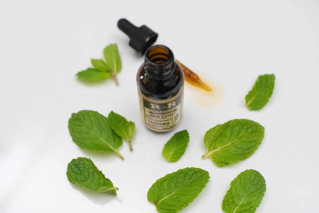 Infused Oil vs. Tincture: Which Is Best for Your Wellness Routine?