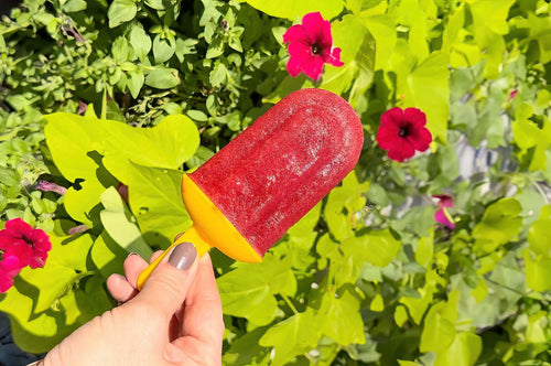 Blackberry Lemonade Popsicles