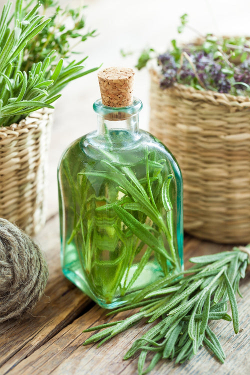 Simple Herbal Infusion Recipes You Can Make at Home