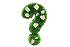 What is the best kind of coconut oil to use? - Magical Brands