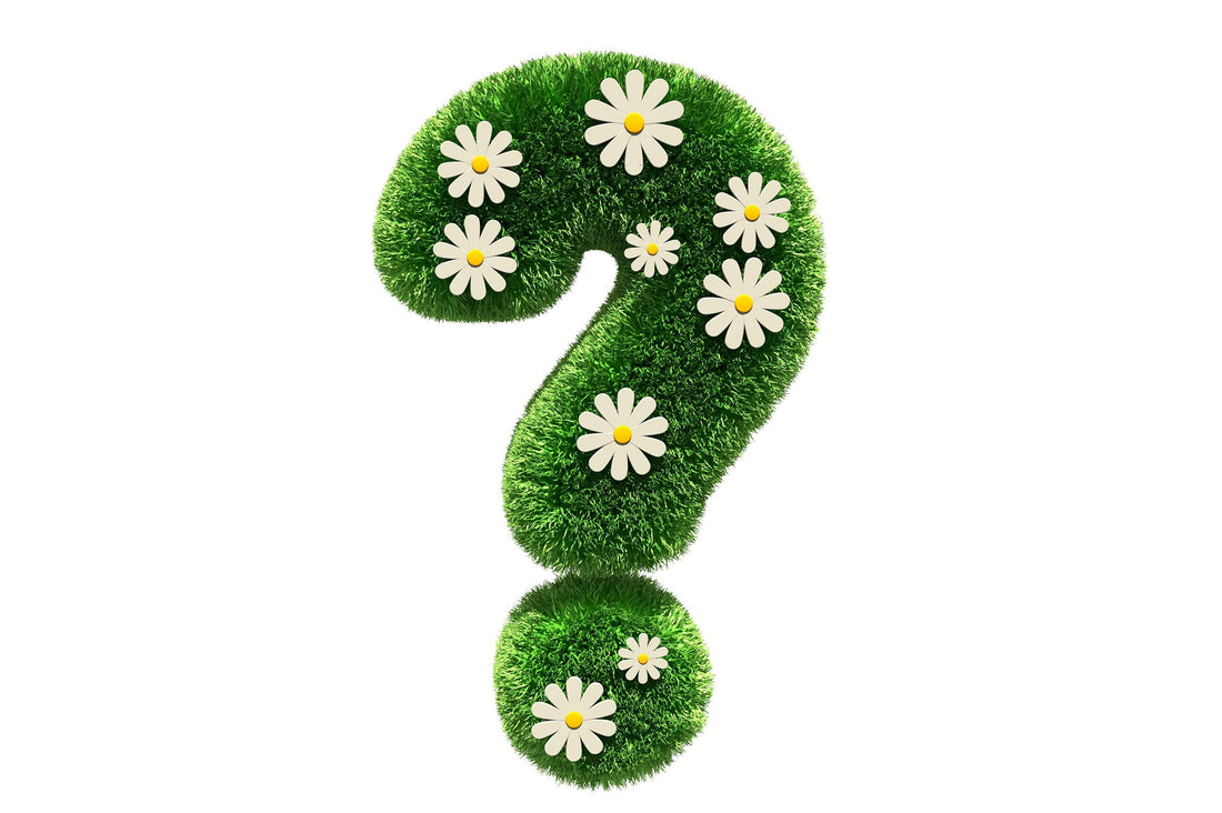 Will the DecarBox make my house/kitchen smell? - Magical Brands