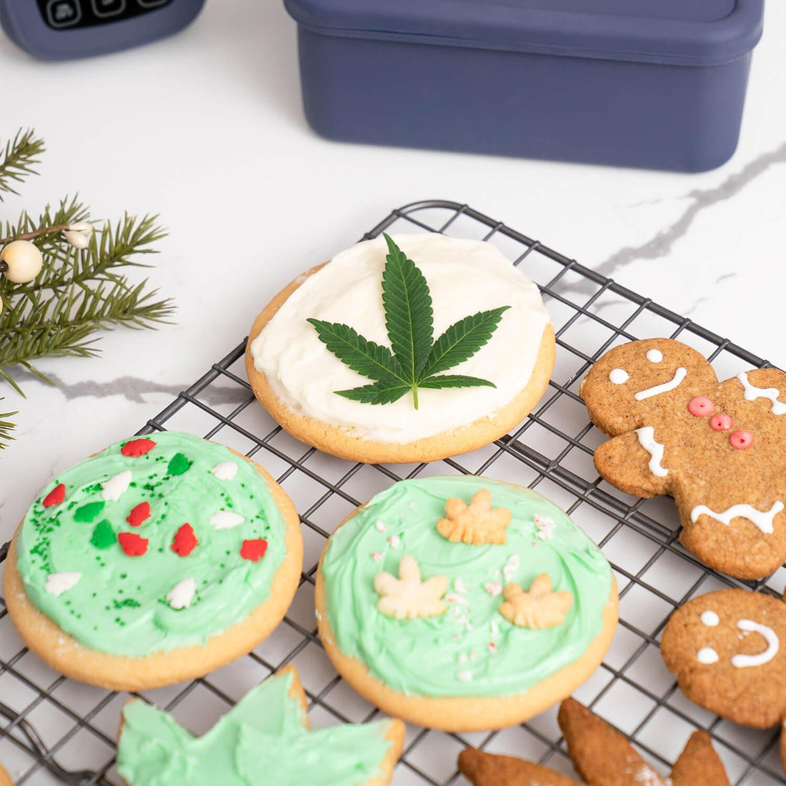 Frosted Sugar Cookies - Magical Brands
