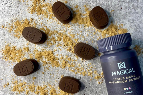 Lion's Mane Chocolates - Magical Brands