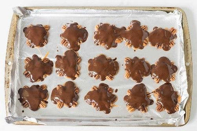Magical Pecan Turtles