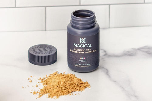 The Link Between Turkey Tail and Your Health - Magical Brands