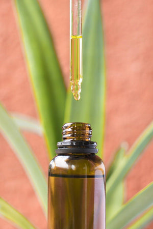 Herbal Tinctures for Health and Wellness: A Complete DIY Guide