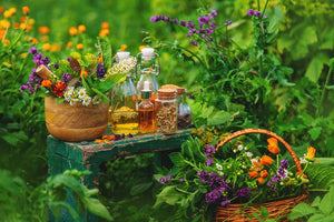 How herbal infusion tools can help meet nutritional goals