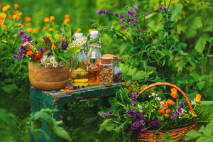 How herbal infusion tools can help meet nutritional goals