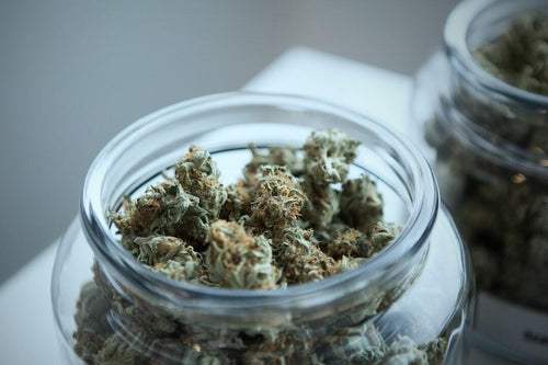 Advanced Decarboxylation Techniques for Premium Results