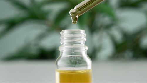 The Wonders of MCT Oil: Why You Should Add it to Your Diet - Magical Brands