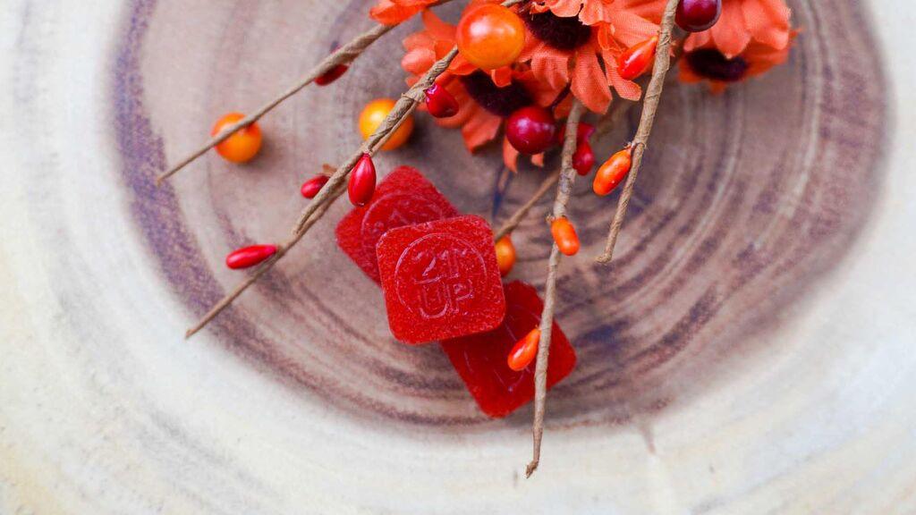 Cranberry Dream Natural Gummies