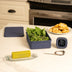 DecarBox Thermometer Combo Pack