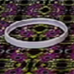 Gummy maker gasket replacement